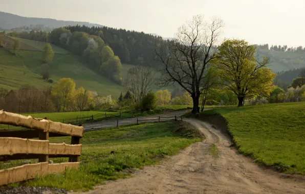 Road, landscape, the fence