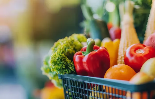 Basket, orange, food, corn, pepper, fruit, vegetables, tomatoes