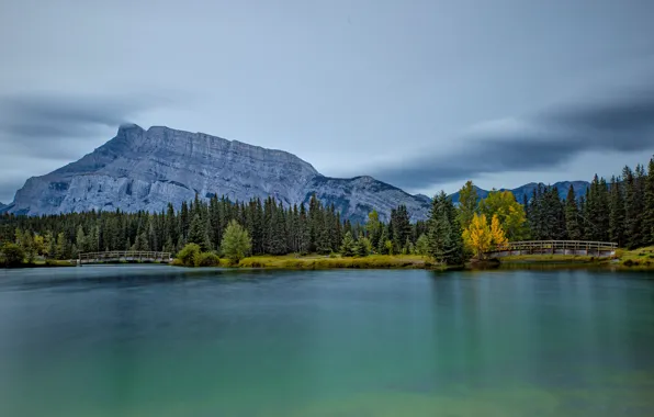 Picture autumn, forest, the sky, mountains, rocks, shore, tops, view