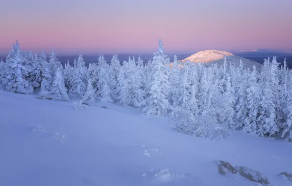 Winter, frost, forest, snow, mountains, stones, dawn, in the snow