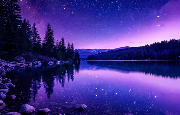Night, Landscape, Purple, Landscapes