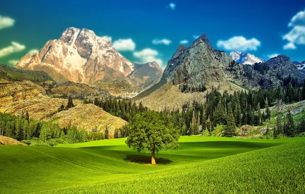Picture the sky, grass, trees, landscape, mountains, valley