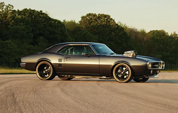 Picture Classic, Pontiac, 1967, Firebird