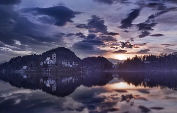 Water, home, morning, Slovenia, Lake bled