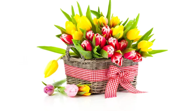 Photo, Flowers, Tulips, Basket, A lot, Bow