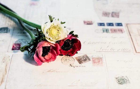 Flowers, background, bouquet