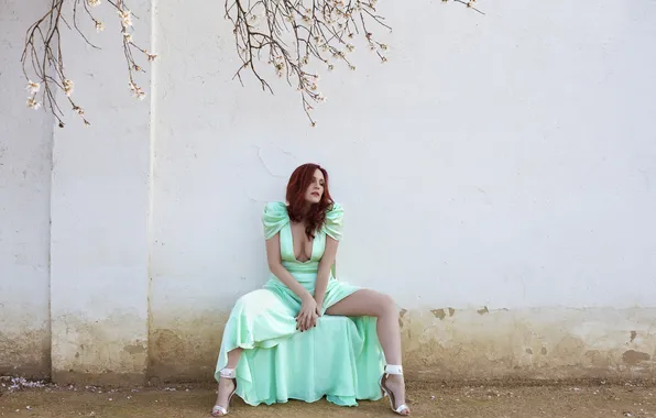 Picture girl, pose, wall, dress, sitting