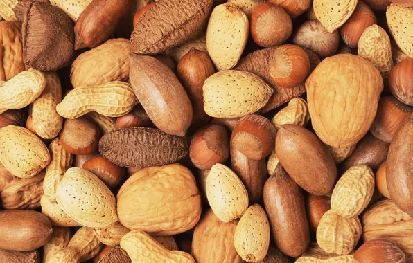 Macro, food, mix, nuts, the mixture, almonds, delicious, hazelnut