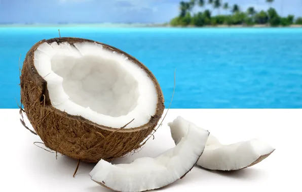 Sea, island, coconut, slices