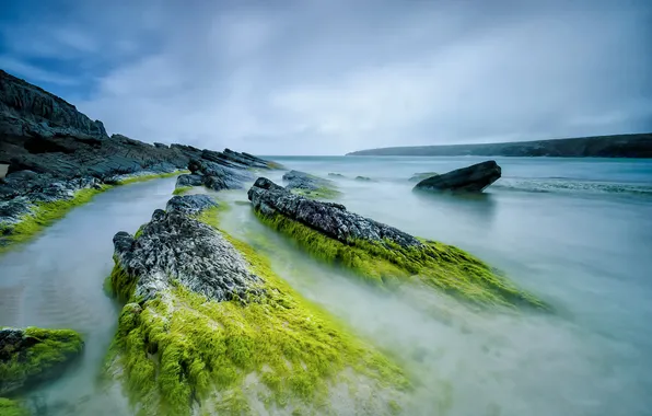 Sea, the sky, algae, stones, rocks, tide