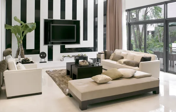 Style, strip, room, sofa, plant, TV, window
