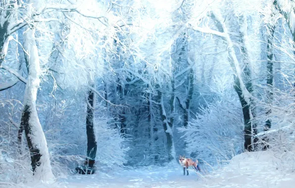 Winter, forest, snow, trees, branches, Fox
