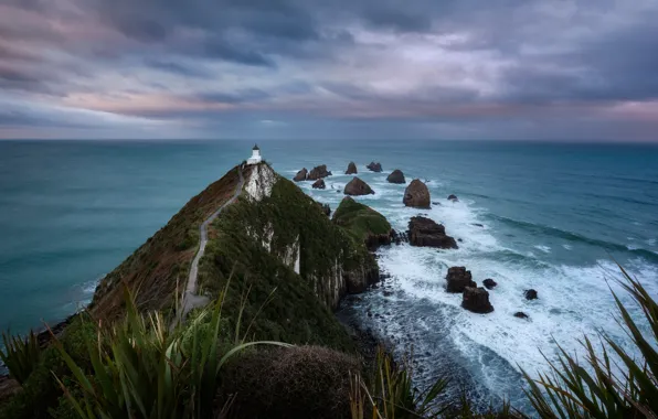 Road, landscape, nature, the ocean, lighthouse, New Zealand, Nugget Point, Nugget Point