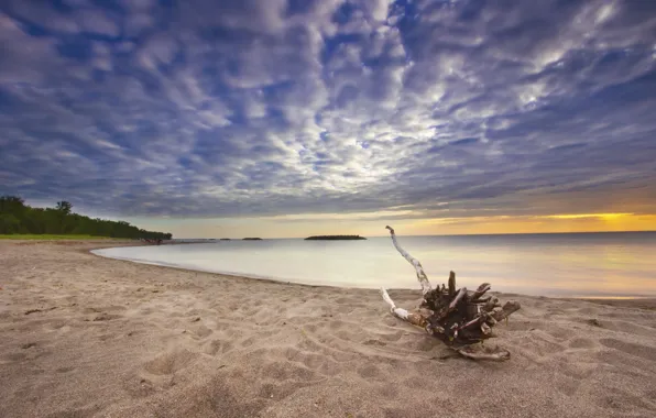 Picture sand, sea, clouds, coast, snag