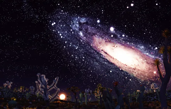 The sky, stars, light, flowers, the universe, planet, plants, galaxy
