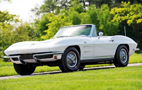 Corvette, Chevrolet, convertible, Chevrolet, Sting Ray, Corvette, 1964, Convertible