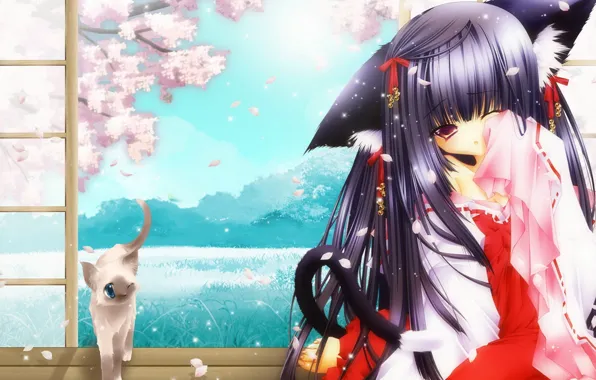 Picture cat, Sakura, art, girl, neko, ears