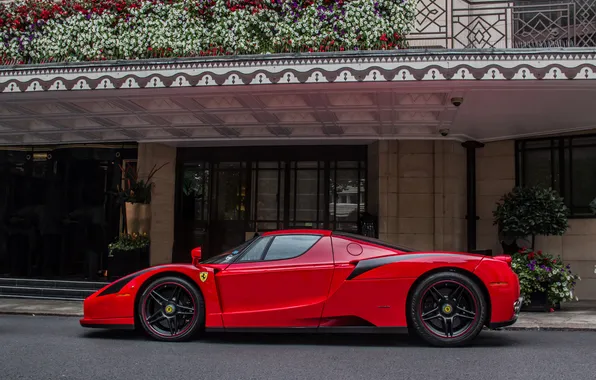 Red, Ferrari, Enzo