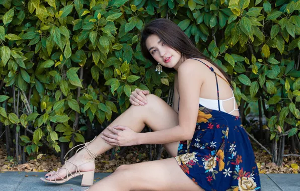 Picture summer, girl, sweetheart, dress, legs