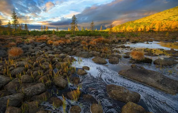 Picture the sky, water, clouds, trees, stones, hills, after the rain