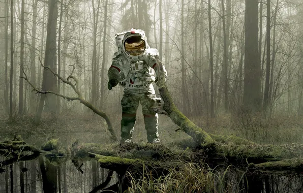 Forest, trees, fog, swamp, moss, the suit, snag, astronaut
