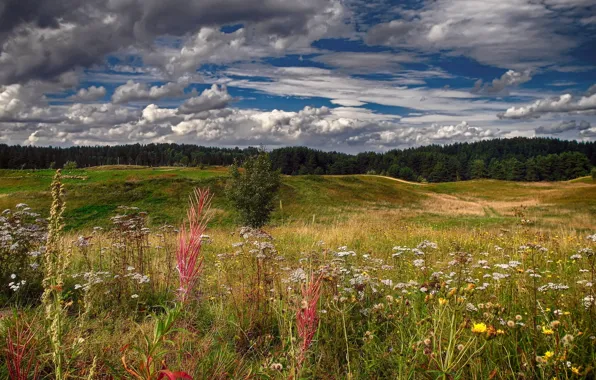 Picture summer, the sky, clouds, flowers, hills, field