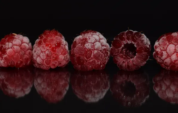 Frost, macro, reflection, berries, raspberry, the dark background, background, dark
