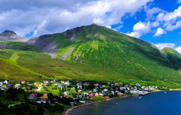 The sky, clouds, trees, mountains, home, Bay, Norway, the village