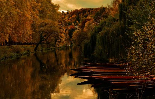 Autumn, trees, landscape, nature, reflection, river, hills, shore
