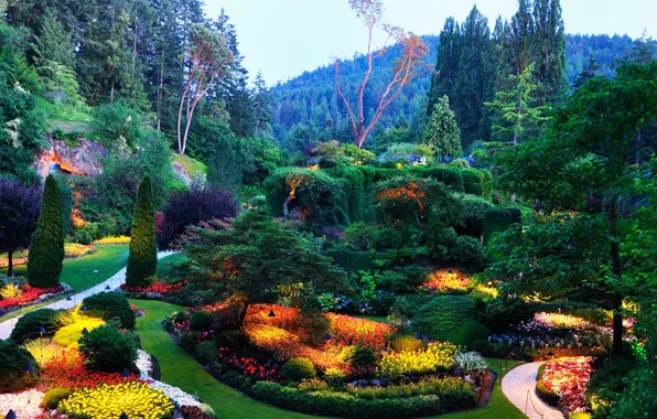 Trees, flowers, Park, garden, flowerbed