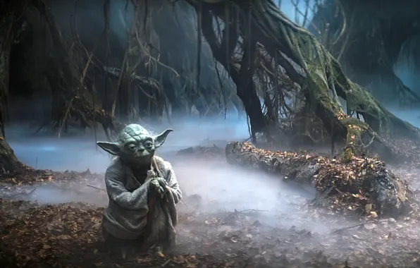 Picture Star Wars, trees, jungle, Yoda, leaves, Jedi, mist, movies