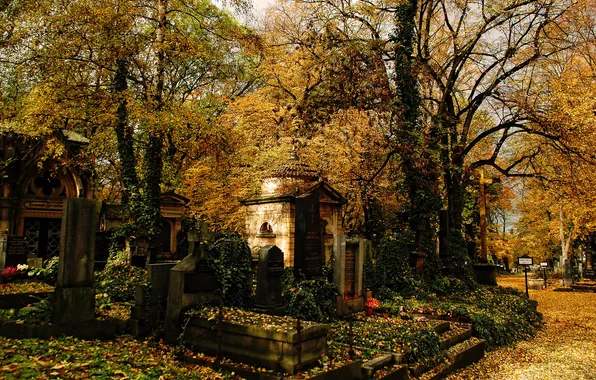 Picture autumn, cemetery, tombs, mausoleum, tombstones