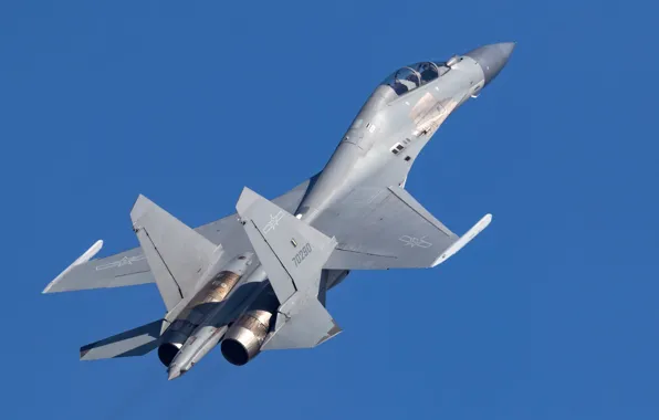 Picture Fighter, AIR FORCE CHINA, Shenyang J-16, Changchun Airshow 2019