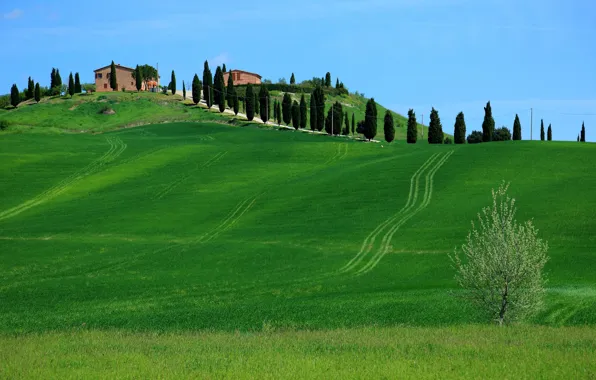 Picture the sky, grass, trees, hills, home, Italy, Tuscany