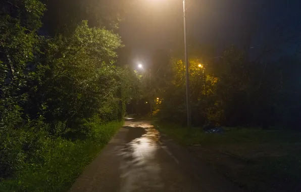 Summer, trees, night, lighting, lights, Russia, path, July
