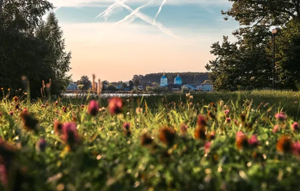 Picture summer, landscape, nature, lake, grass, Holy Trinity Ostrovoezersky Monastery, Tuscan