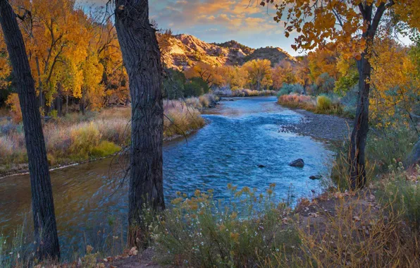 Picture autumn, trees, river, USA, New Mexico, Rio Grande