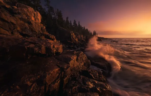 Wave, forest, sunset, the ocean, rocks