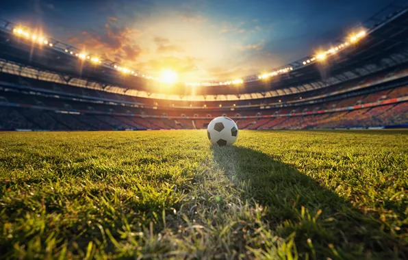 World, sport, field, background, stadium, cup, soccer, ball