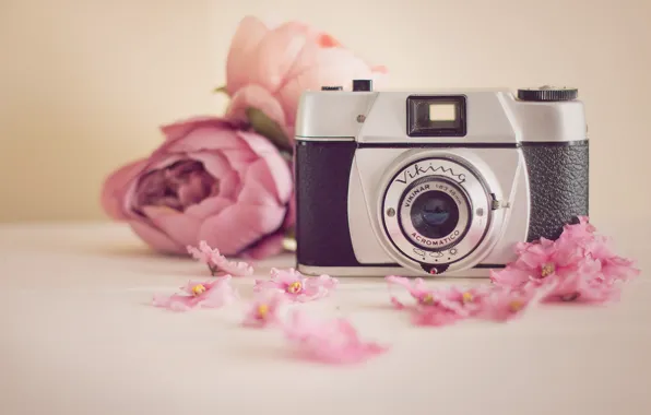 Picture flowers, camera, Viking
