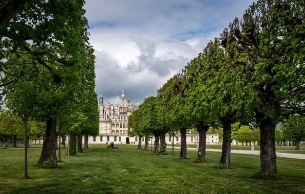 Picture trees, Park, France, alley, Chambord castle, The Loire Valley