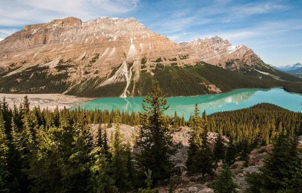 Picture forest, the sky, clouds, landscape, mountains, nature, lake, reflection