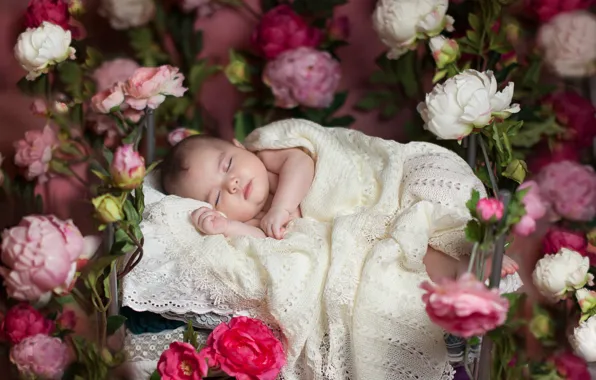 Dream, girl, flowers, people, sleep, childhood, children, kid