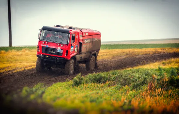 Red, Truck, Race, Dirt, Rally, Rally, The front, The roads