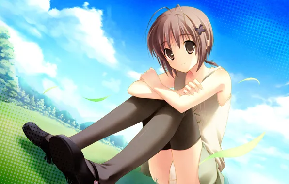 The sky, clouds, leaves, Amatsume Akira