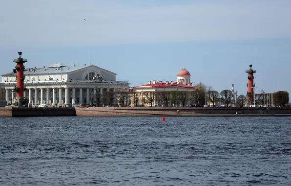 Picture Saint Petersburg, SPb, Neva