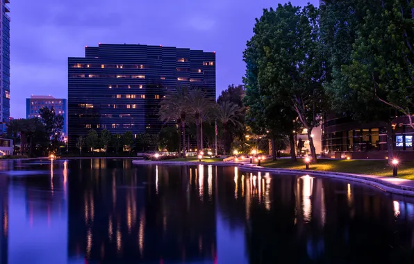 Picture water, trees, night, lights, reflection, palm trees, home, lights