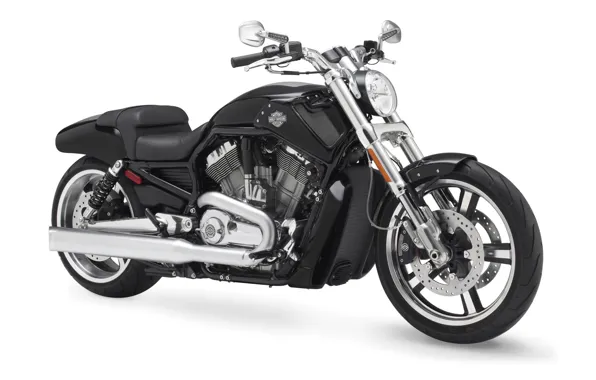 Motorcycle, Harley Davidson, bike, bike, motorcycle, white background, Harley Davidson, white background