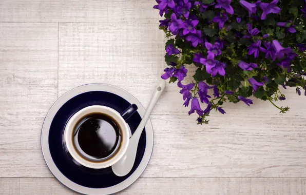 Flowers, coffee, spoon, drink, flowers, drink, coffee, spoon