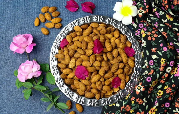 Nuts, a lot, almonds